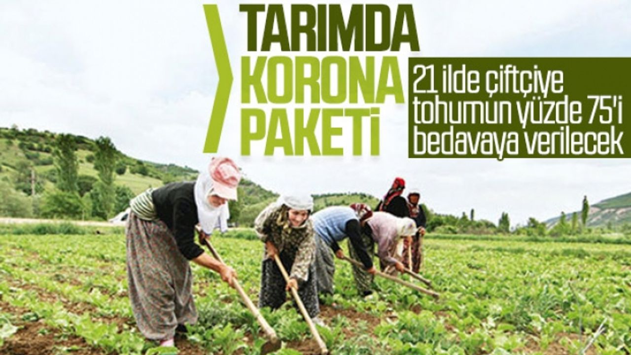 21 ilde çiftçiye tohumun yüzde 75'i hibe edilecek