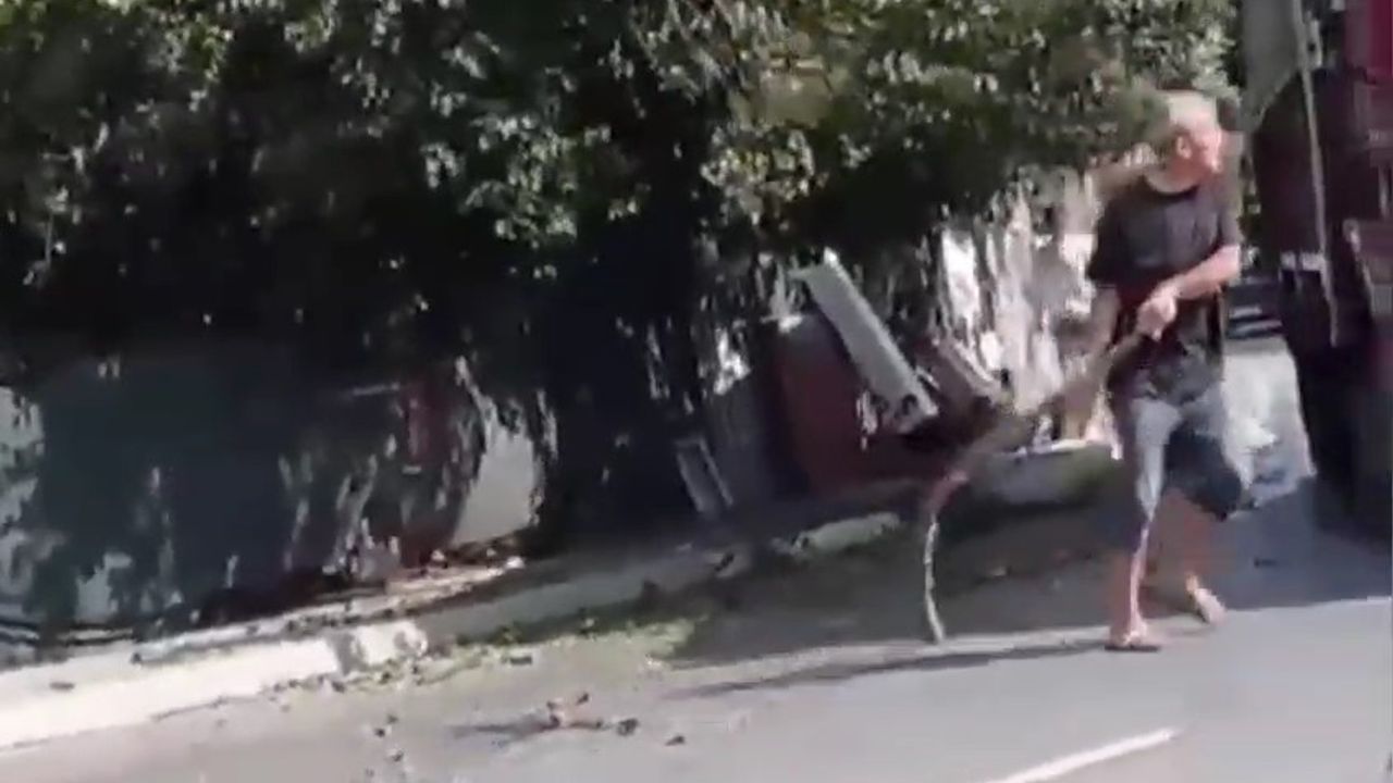 Arnavutköy’de yola sarkan ağacın dallarına çarpan kamyon şoförüne böyle saldırdılar