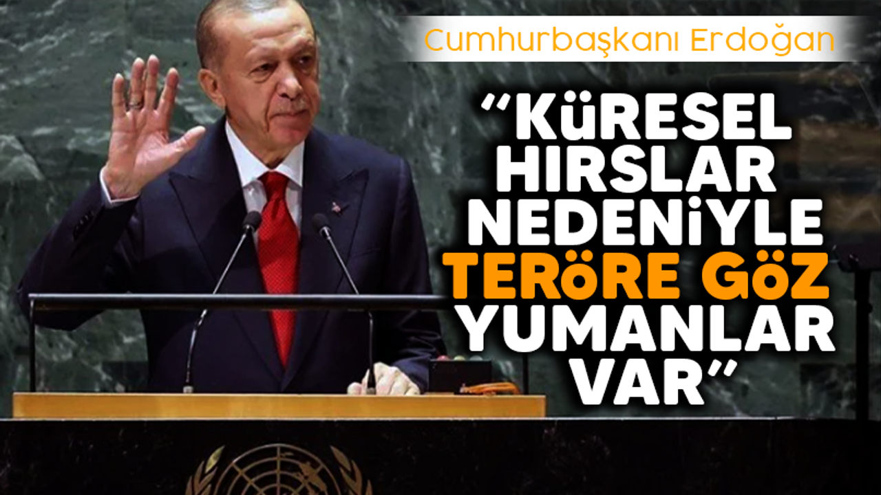 Cumhurbaşkanı Erdoğan: Küresel hırslar nedeniyle teröre göz yumanlar var