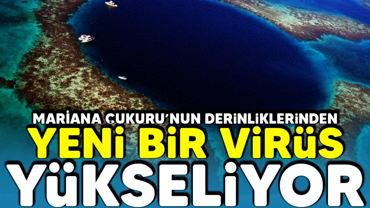 Mariana Çukuru'nun derinliklerinden yeni bir virüs yükseliyor