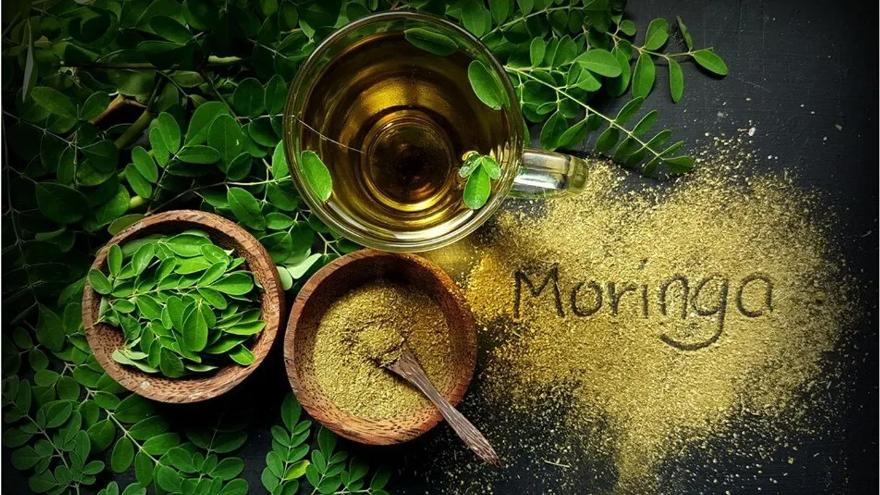 Moringa Çayı Nedir?