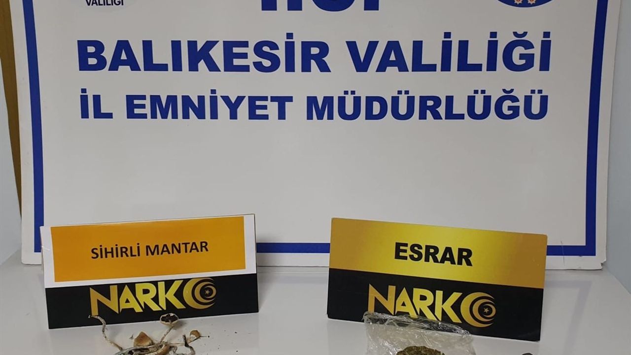 Polisten ’sihirli mantar’ operasyonu