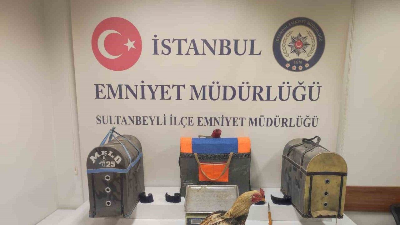 Sultanbeyli’de horoz dövüşçülerine polisten suçüstü
