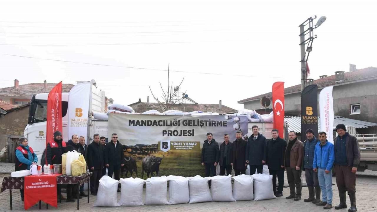 Balıkesir Büyükşehir’den manda yetiştiricilerine destek