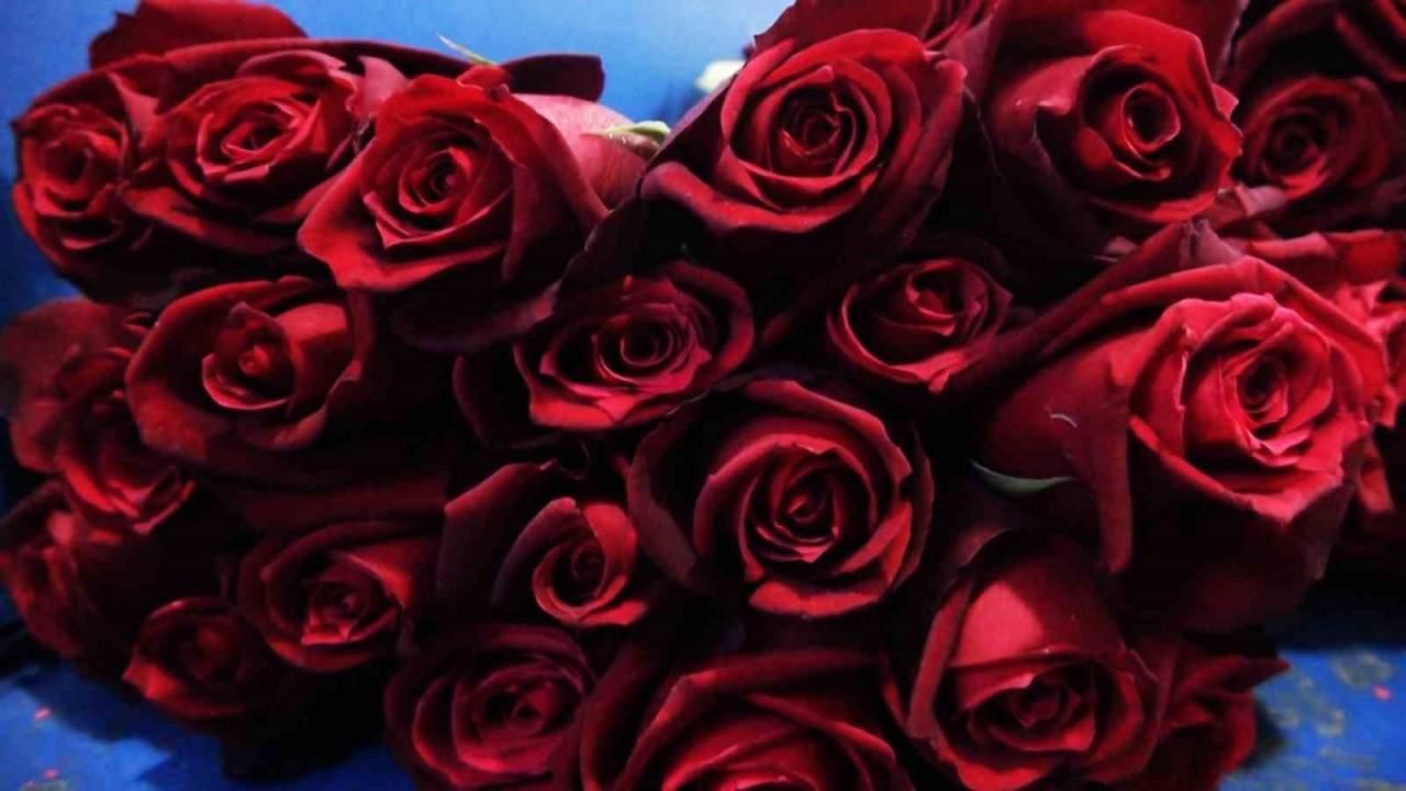 Yalova’da Sevgililer Günü’nde çiçek satışları 2’ye katladı