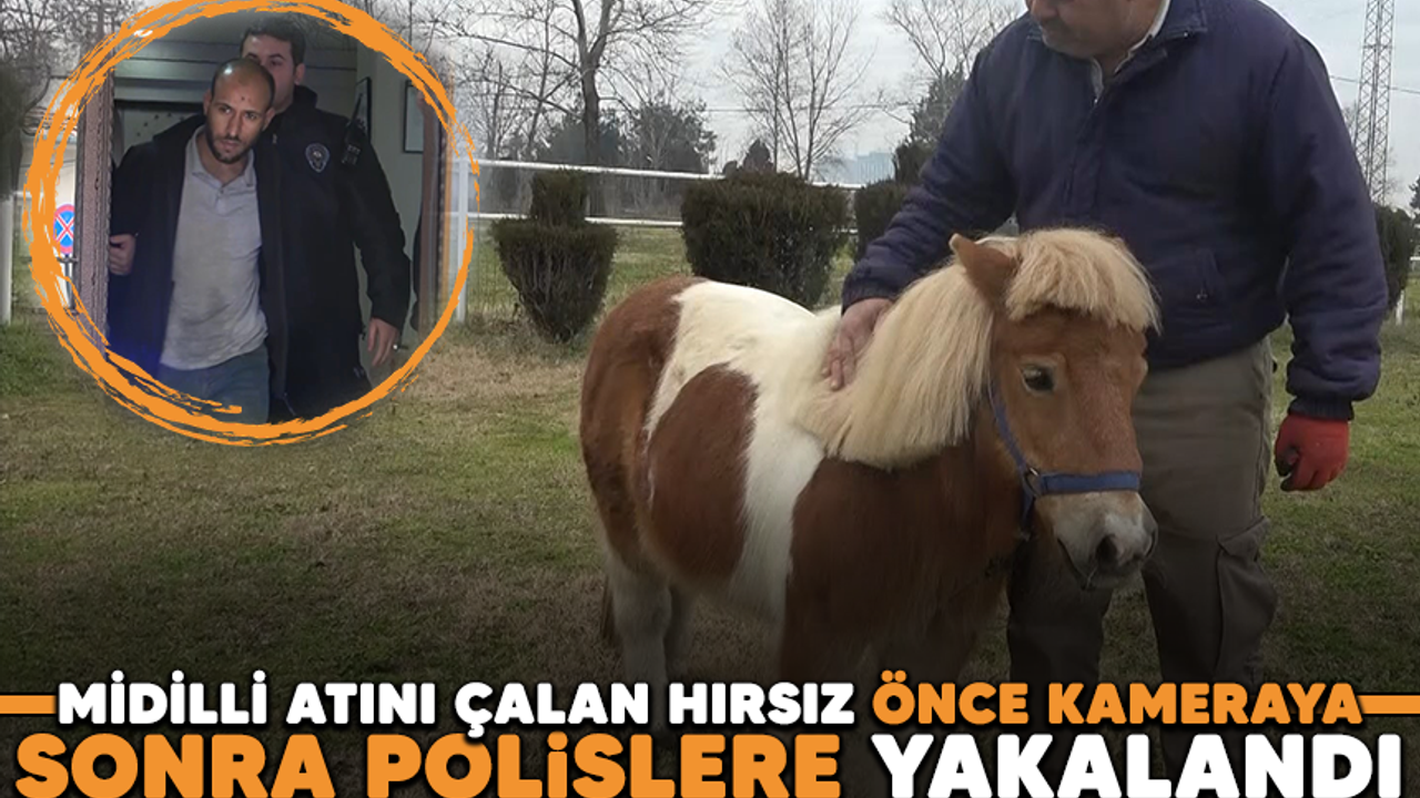 Bursa'da midilli atını çalan hırsız önce kameraya sonra polislere yakalandı
