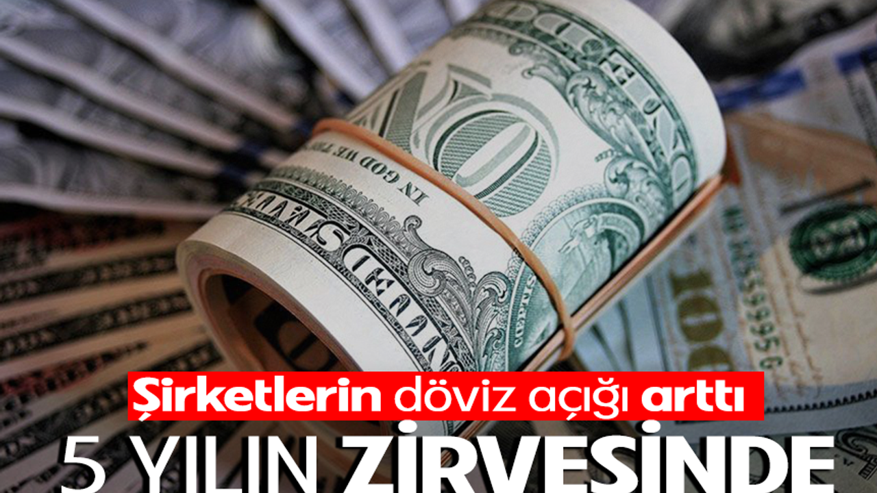 Şirketlerin döviz açığı yüzde 71 arttı