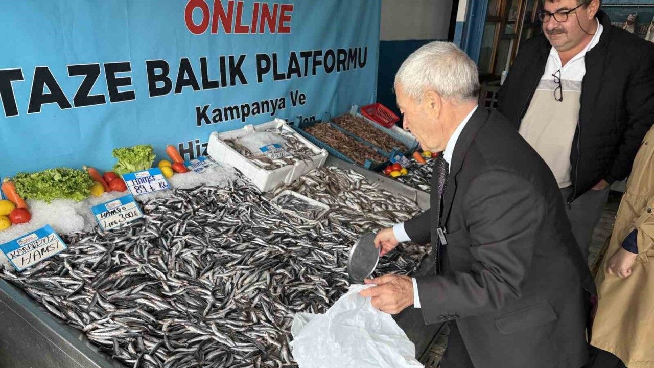Denizlerde balık bolluğu: Hamsinin fiyatı 89 liraya düştü