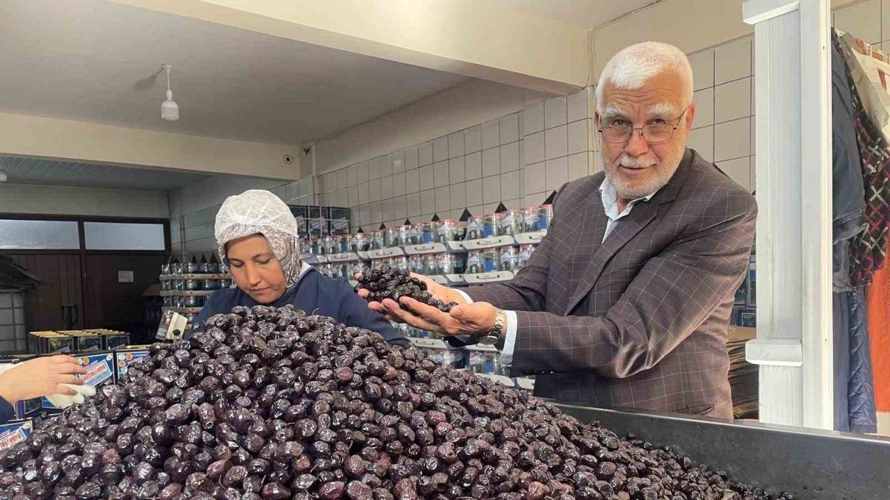 Her 6 sofralık zeytinden birini Bursa ve Balıkesir üretecek
