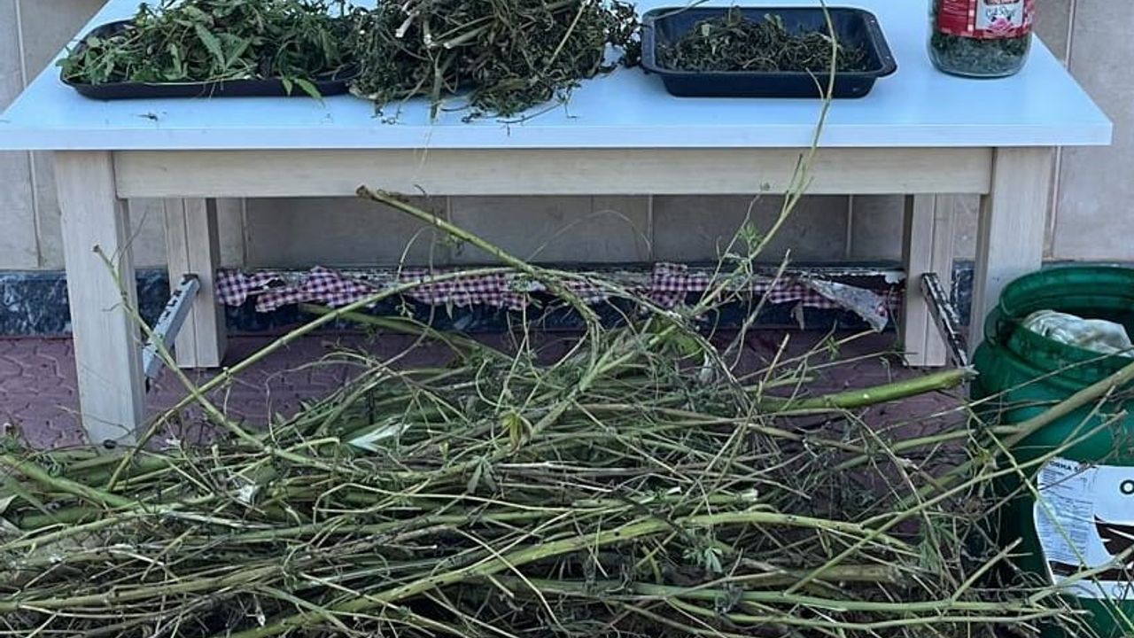 İnegöl Jandarmasından şok baskın! Çok miktarda ele geçirildi