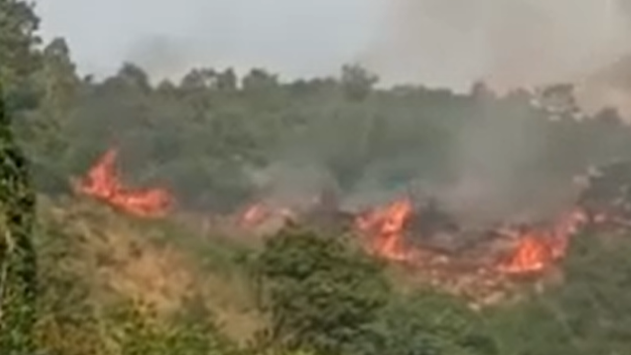 Bursa Gemlik'te makilik alan alev alev yandı!