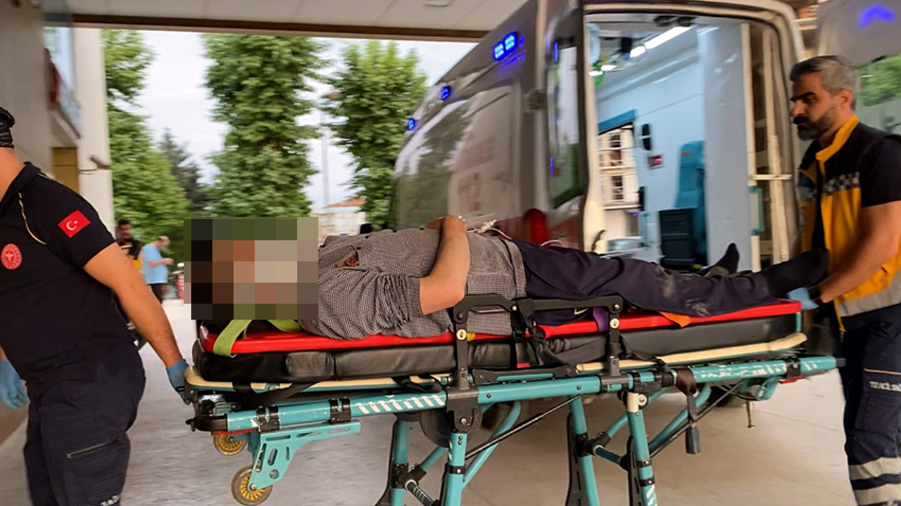 Bursa İnegöl'de köpek hastanelik etti