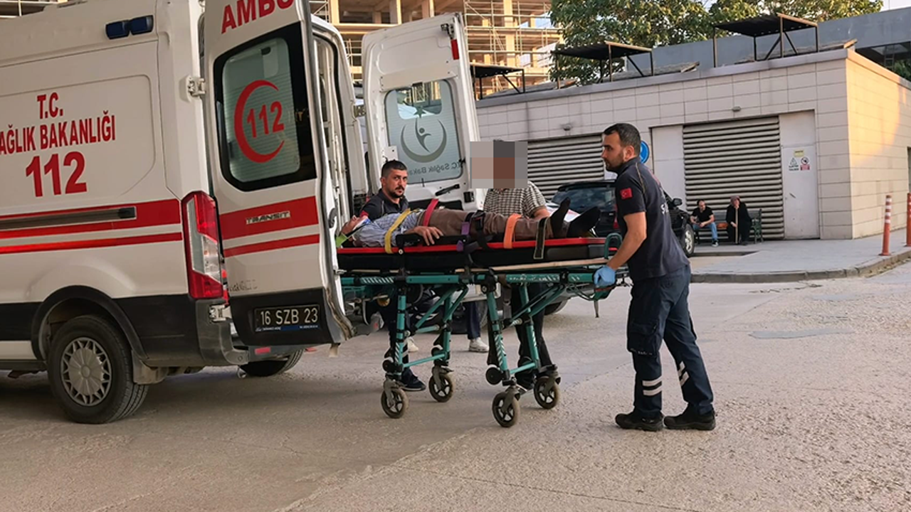 Bursa İnegöl'de kiraz ağacı yine can yaktı