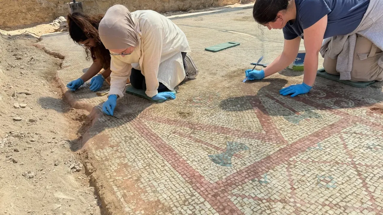 Pompeiopolis’te 105 metrekarelik mozaik gün yüzüne çıkarıldı