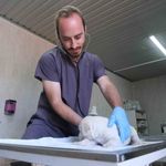 Altıeylül'de minik patiler için yuva seferberliği