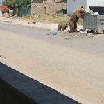 Bozayı Meriç'in köylerini geziyor