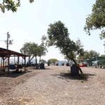 Nilüfer'de sahipsiz hayvanlar için yeni yuva