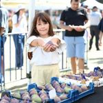 Bursa  Osmangazi’nin siyah inciri festivalde görücüye çıktı