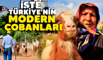 İşte Türkiye'nin modern çobanları