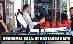 İNEGÖL'DE GÖRÜNMEZ KAZA; AT HASTANELİK ETTİ