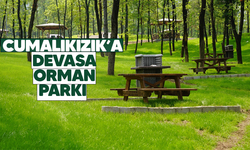 700 yıllık Osmanlı köyü Cumalıkızık'a orman parkı!