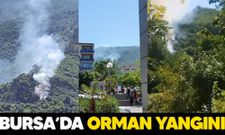 Bursa'da Orman Yangını