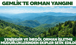 Gemlik'te orman yangını!