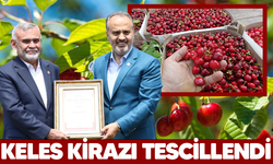 Keles kirazı tescillendi!