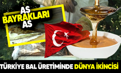 Türkiye bal üretiminde dünya ikincisi!