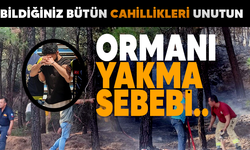 Ormanı yakma sebebi..