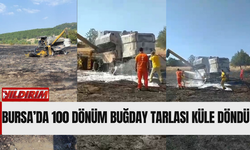 Bursa’da 100 Dönüm Buğday Tarlası Küle Döndü
