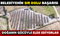 Belediyenin sır dolu başarısı! Doğanın gücüyle elde ediyorlar!