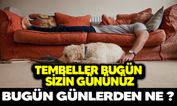 Bugün Günlerden Ne ?  Tembeller Bugün Sizin Gününüz