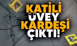 Katili üvey kardeşi çıktı!