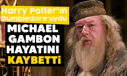 Harry Potter'ın 'Dumbledore'u Michael Gambon hayatını kaybetti