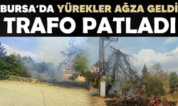 Bursa' da Trafo patladı, ağaçlar ve otluk alan alev aldı