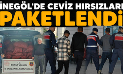 İnegöl'de ceviz hırsızları paketlendi