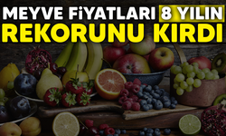 Meyve fiyatları 8 yılın rekorunu kırdı