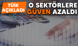 TÜİK açıkladı! O sektörlere güven azaldı