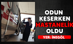 İnegöl'de odun keserken hastanelik oldu 