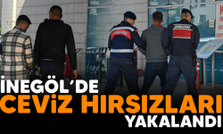 İnegöl'de ceviz hırsızları yakalandı