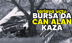 Bursa'da can alan kaza: Tarlaya uçtu