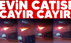 Bursa'da cayır cayır yandı