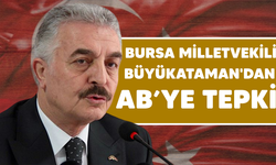 Bursa vekilinden AB'ye tepki