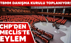 TBMM Danışma Kurulu toplanıyor! CHP'den Meclis'te eylem