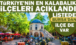 Türkiye'nin en kalabalık ilçeleri açıklandı.. Listede Bursa'dan ilçe de  var