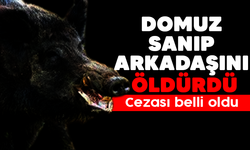 Bursa'da domuz sanıp ava çıktığı arkadaşını öldürdü! Cezası belli oldu