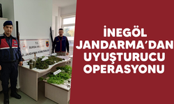 İnegöl Jandarma'dan uyuşturucu operasyonu