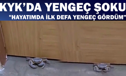 KYK'da yengeç vakası! Şok görüntüler