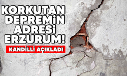 Korkutan depremin adresi Erzurum!